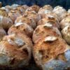 Multigrain Mini Rolls